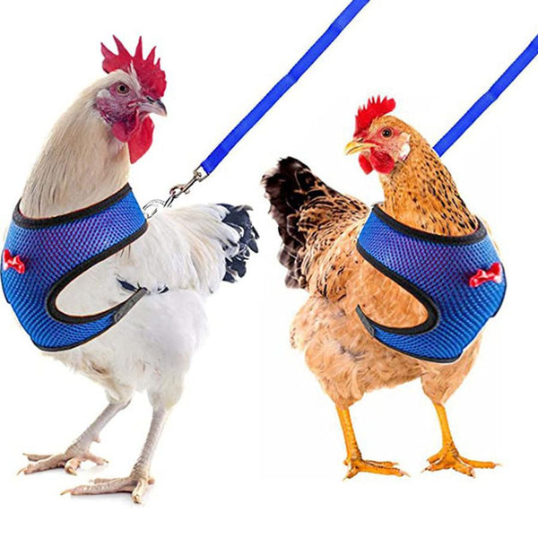 HKM-661267 Pet Harness and Vest Set for Ducks and Hens with Matching Collars, Adjustable Sizes and Traction Rope