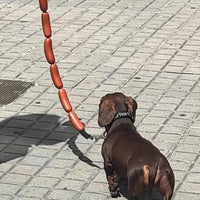 HKM-6615869 Brown Sausage Rope Toy for Dogs and Cats, 108cm Long, Durable Handheld Design