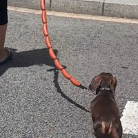 HKM-6615869 Brown Sausage Rope Toy for Dogs and Cats, 108cm Long, Durable Handheld Design