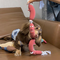 HKM-6615869 Brown Sausage Rope Toy for Dogs and Cats, 108cm Long, Durable Handheld Design