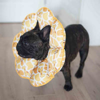 HKM-6616381 Waterproof Dog Headgear for Anti-Licking and Anti-Biting Protection