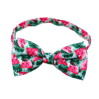 HKM-6616637 Tropical Fruit-Themed Bow Tie for Dogs and Cats - Cactus, Pineapple, Lemon Patterns