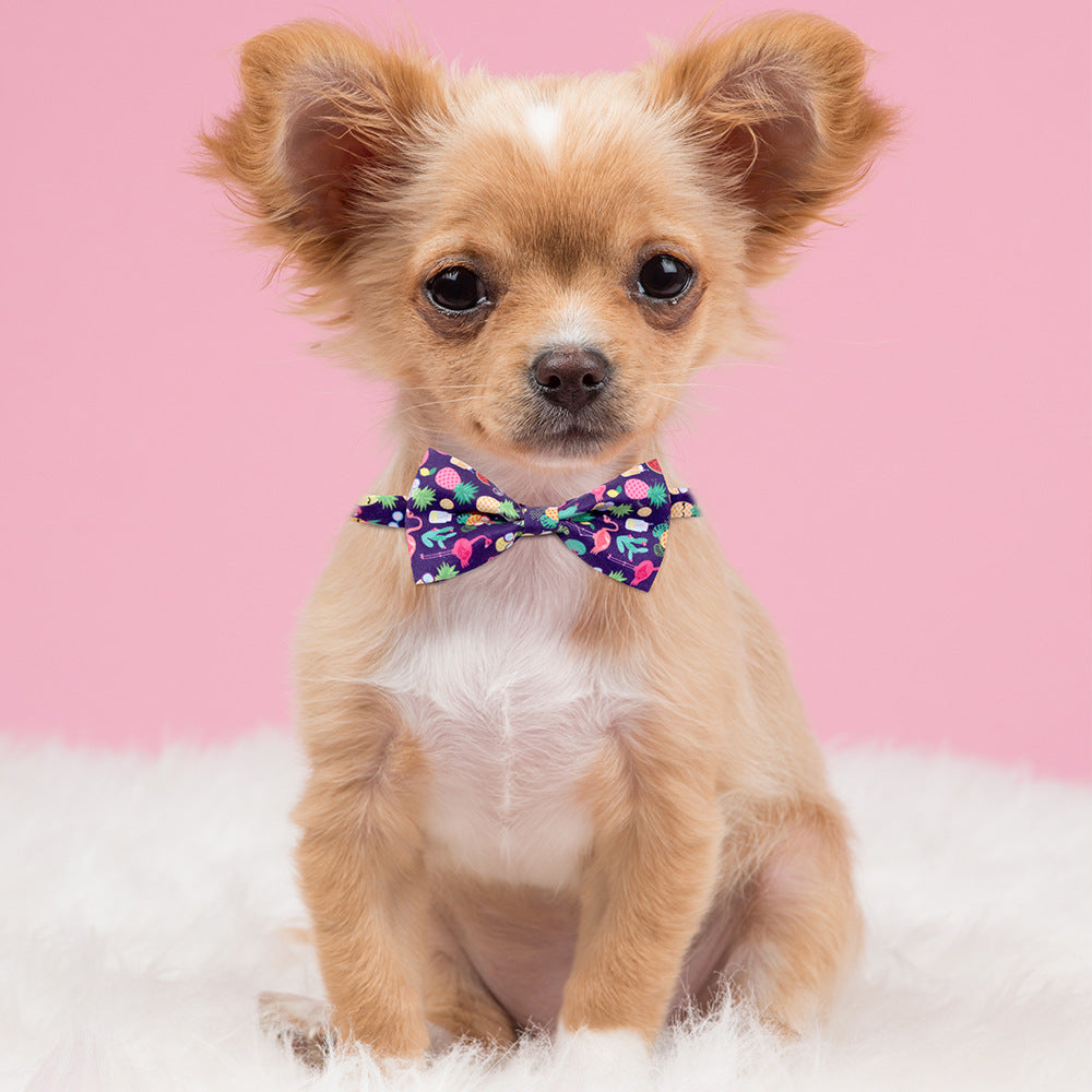 HKM-6616637 Tropical Fruit-Themed Bow Tie for Dogs and Cats - Cactus, Pineapple, Lemon Patterns