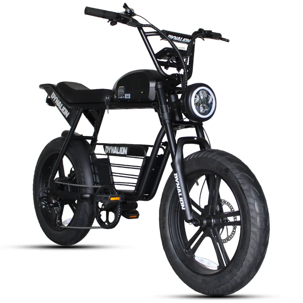 HKM-661843 Electric Fat Tire Mountain Bike with 1000W Brushless Motor and 7-Speed Gears
