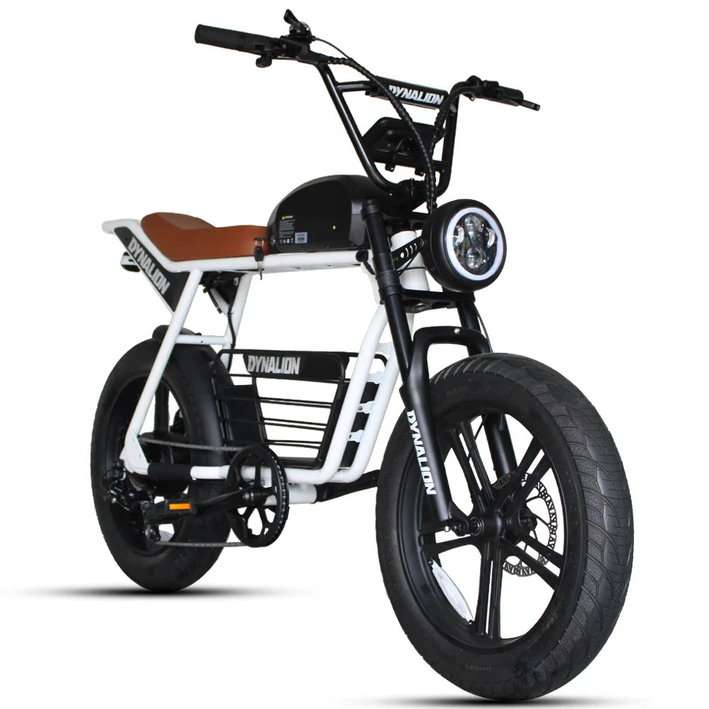 HKM-661843 Electric Fat Tire Mountain Bike with 1000W Brushless Motor and 7-Speed Gears