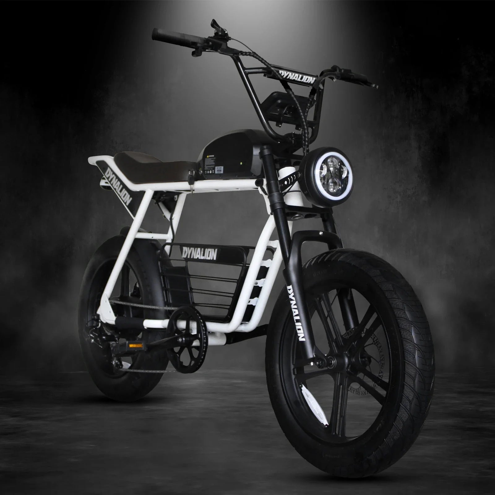 HKM-661843 Electric Fat Tire Mountain Bike with 1000W Brushless Motor and 7-Speed Gears