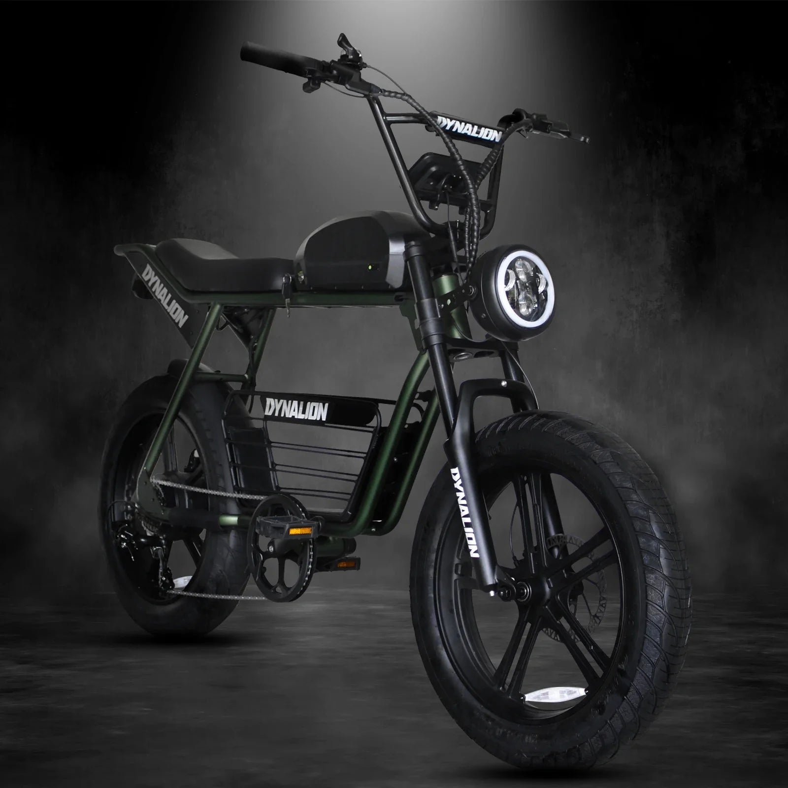 HKM-661843 Electric Fat Tire Mountain Bike with 1000W Brushless Motor and 7-Speed Gears