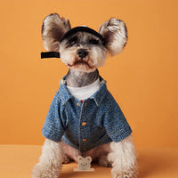 HKM-6621757 Floral Polka Dot Casual Shirt Dress for Puppies – Cotton Material, XS to XXL Sizes