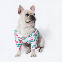 HKM-6634045 Casual Cotton Dog Shirt in Black, White, and Yellow - Various Sizes Available