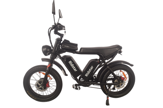 HKM-663763 High-Performance Electric Mountain Bike with 2000W Dual Hub Motor and Dual Lithium Battery