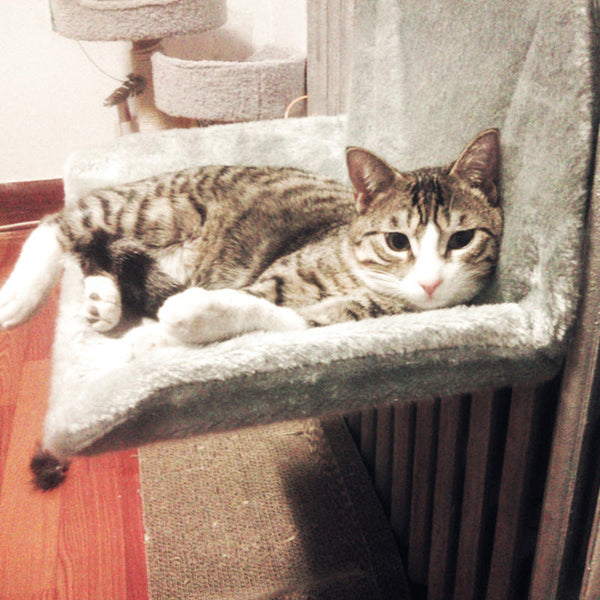 HKM-6640061 Super Portable Cat Nest with Solid Steel Frame and Removable Washable Cover, Available in Multiple Colors
