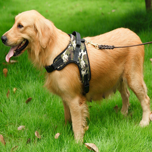 HKM-6644029 Camouflage Dog Vest with Chest Strap for Outdoor Traction – Multiple Colors Available