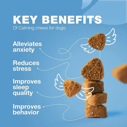 HKM-6647229 Calming Chews for Dogs with Hemp Seed Oil, Chamomile, and Valerian Root for Anxiety Relief