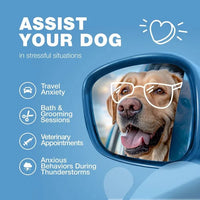HKM-6647229 Calming Chews for Dogs with Hemp Seed Oil, Chamomile, and Valerian Root for Anxiety Relief