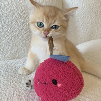 HKM-6651965 Plush Onion Red Cat Bite Molar Rod Toy for Dental Chewing and Play