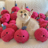 HKM-6651965 Plush Onion Red Cat Bite Molar Rod Toy for Dental Chewing and Play