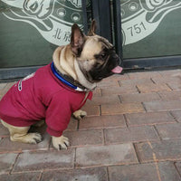HKM-6657981 Cotton Plus Fleece Pet Sweater in Black, Red, Army Green - Casual Style with Size Options