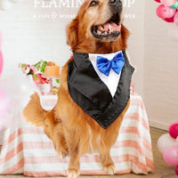 HKM-6660285 Elegant Dog Triangle Scarf for Weddings - Adjustable Neck Size 57-67cm, Waterproof Nylon & Silk Fabric
