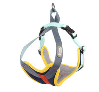 HKM-666387 Adjustable Pet Chest Strap Dog Leash for Comfortable and Breathable Fit
