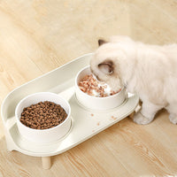 HKM-6668605 Cervical Spine Support Ceramic Cat & Small Dog Double Bowl - Mint Green & Pearl White