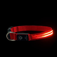 HKM-6670397 Waterproof LED Pet Collar with USB Charging and Long Battery Life - Multiple Color Options