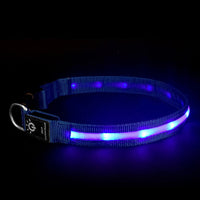 HKM-6670397 Waterproof LED Pet Collar with USB Charging and Long Battery Life - Multiple Color Options