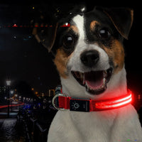 HKM-6670397 Waterproof LED Pet Collar with USB Charging and Long Battery Life - Multiple Color Options