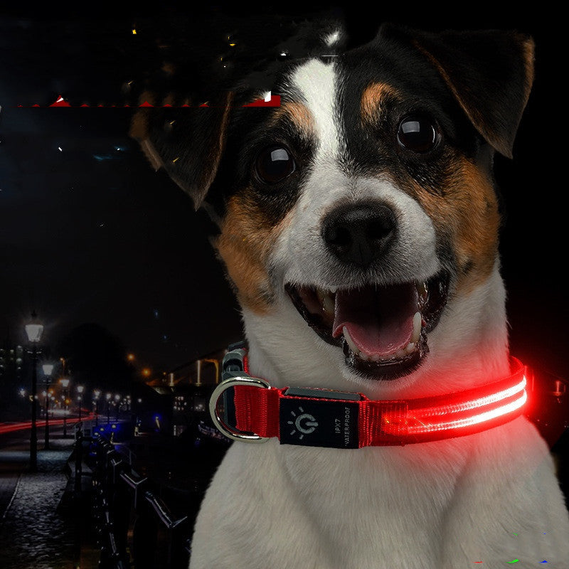 HKM-6670397 Waterproof LED Pet Collar with USB Charging and Long Battery Life - Multiple Color Options