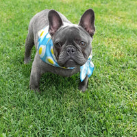 HKM-6670781 Pet Triangle Scarf with Graffiti Pattern - Polyester Saliva Towel for Dogs and Cats