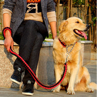 HKM-6673981 Medium and Large Dog Leash with Stripes - Red and Blue Nylon Chain for Leisure Use