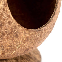 HKM-6674237 Coconut Shell Hamster Nest with Base for Small Pets and Birds