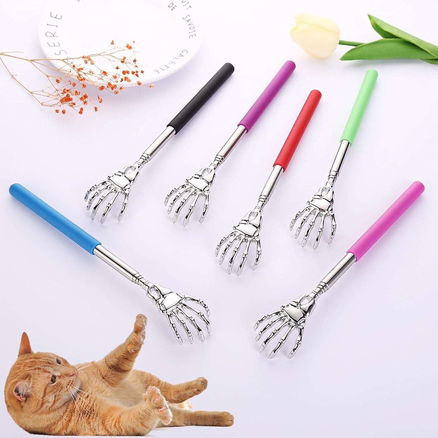 HKM-6677437 Retractable Cat Teaser Wand with Grooming Comb for Interactive Play and Bonding