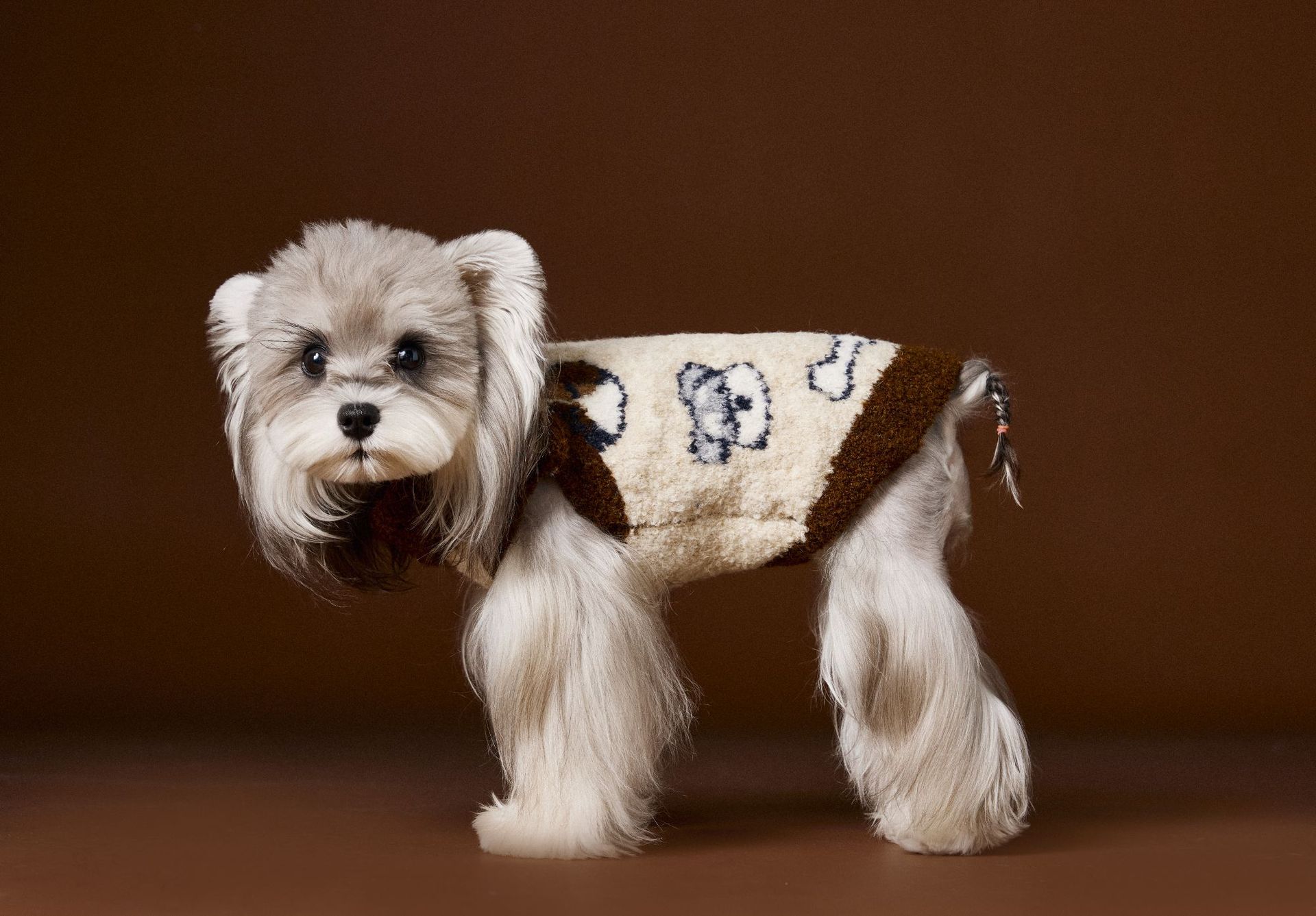 HKM-6678717 Lapel Sweater for Dogs in Various Sizes - Comfy and Stylish Pet Clothing