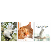 HKM-6681533 Cat Litter Sucker Hanging Window Hammock with Oxford Cloth and Steel Wire - Multiple Colors Available
