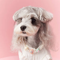 HKM-6682557 Photo Concave Dog Necklace - Beaded Pet Accessory for All Seasons, Available in S, M, L Sizes