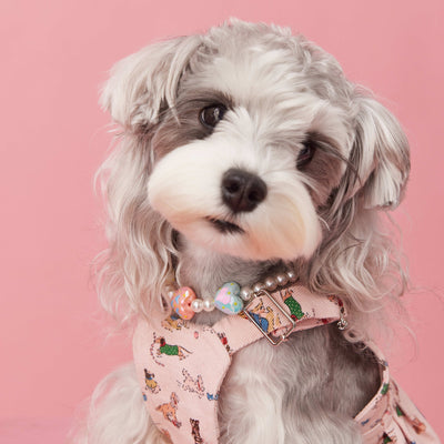 HKM-6682557 Photo Concave Dog Necklace - Beaded Pet Accessory for All Seasons, Available in S, M, L Sizes