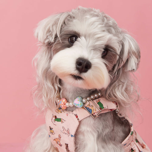 HKM-6682557 Photo Concave Dog Necklace - Beaded Pet Accessory for All Seasons, Available in S, M, L Sizes
