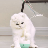 HKM-6685885 Interactive Electric Cat Toy with Tumbler Design and Leaking Ball Feature