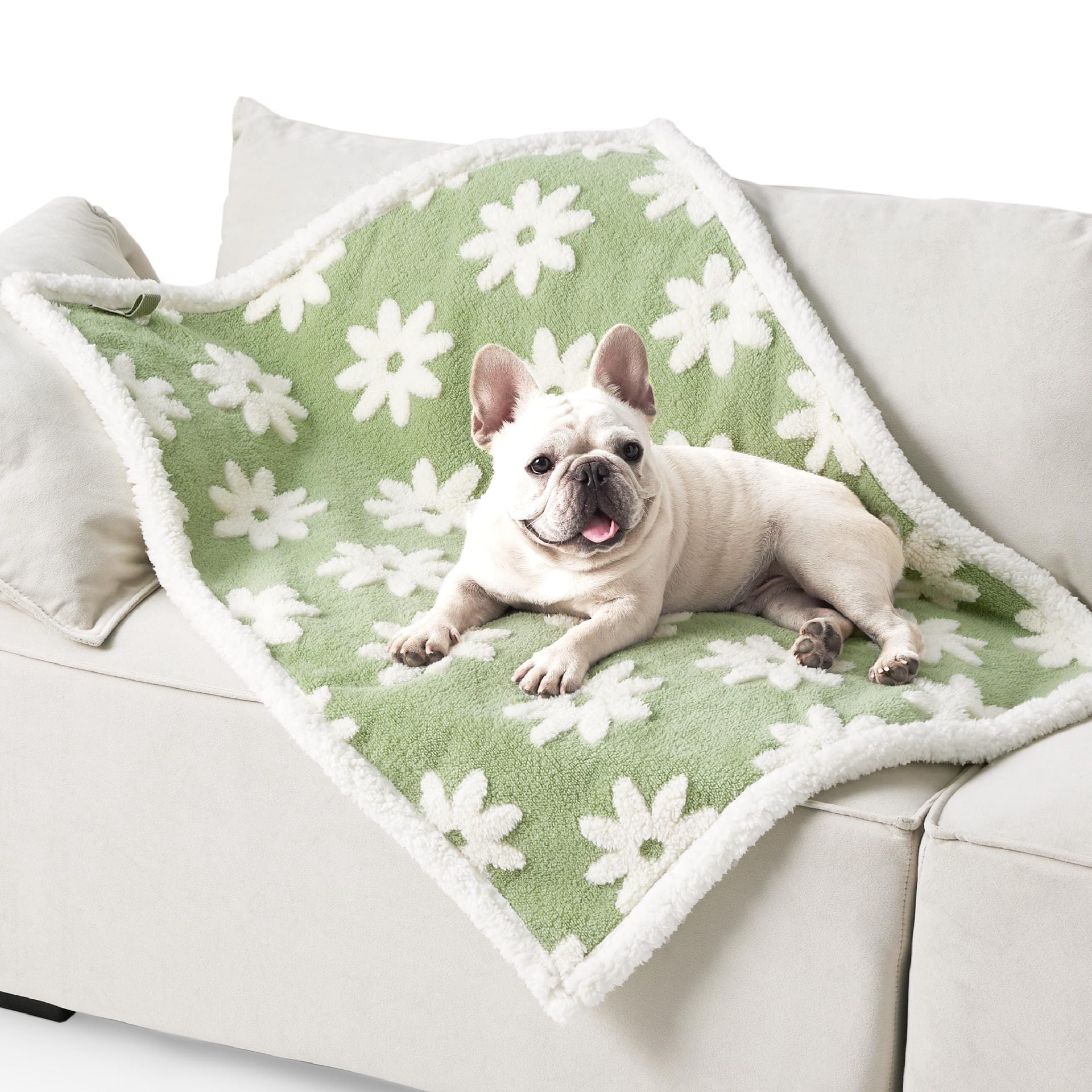 HKM-6686525 Pet Waterproof Blanket, Thickened Cloth in Multiple Patterns and Sizes for Dogs