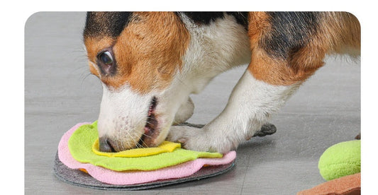 HKM-6696253 Interactive Pet Puzzle Toy for Dogs and Cats – Wool Felt Shaker Cloth, 28 x 17 cm, Brown and Gray