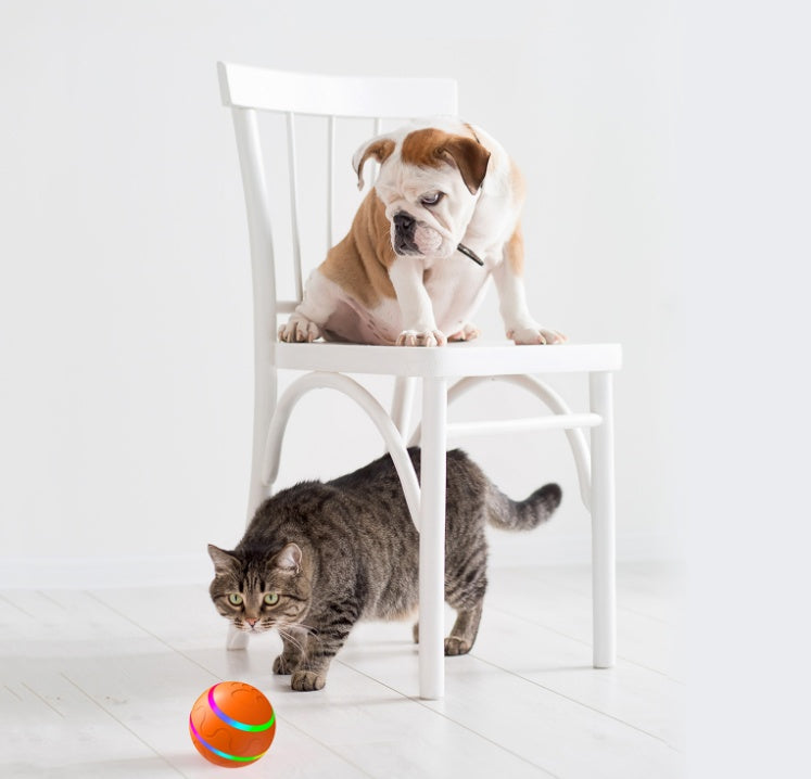 HKM-6699837 Intelligent Self-Rotating Cat Ball Toy with Remote Control and USB Charging