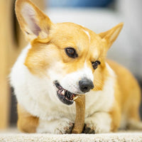 HKM-6702013 Natural Pine Wood Antler Molar Stick for Small and Medium Dogs - Dental Care Toy
