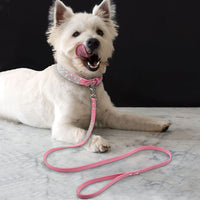 HKM-6703165 Shiny Hot Diamond Pattern Dog Collar - All Season, XS to M Sizes