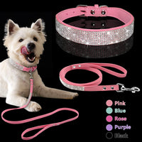 HKM-6703165 Shiny Hot Diamond Pattern Dog Collar - All Season, XS to M Sizes