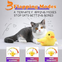 HKM-6704445 Interactive Cat Toy with Rechargeable Quacking Duck and Catnip Pouch for Playful Kittens