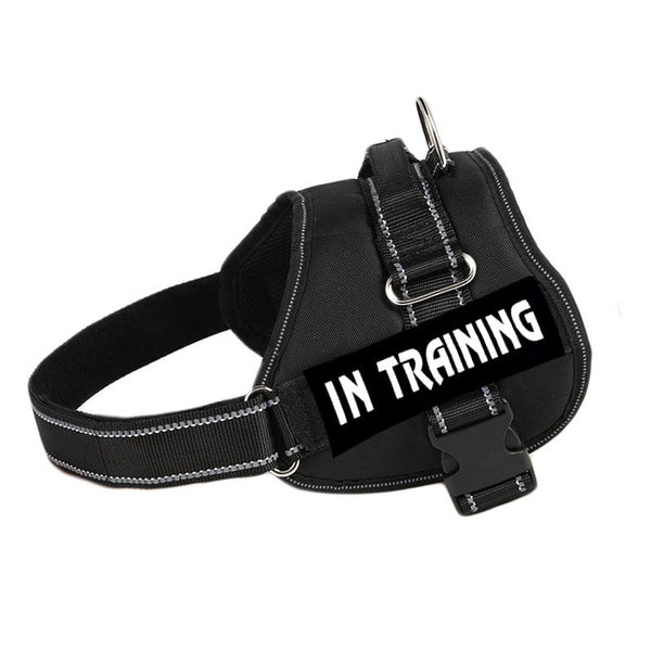 HKM-6706237 Enhanced Dog Chest Strap with Explosion-Proof Design, Available in Multiple Colors and Sizes