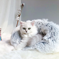 HKM-6710973 Cozy Grey Plush Cat Sleeping Bag Nest with Printed Rabbit Fur Accents
