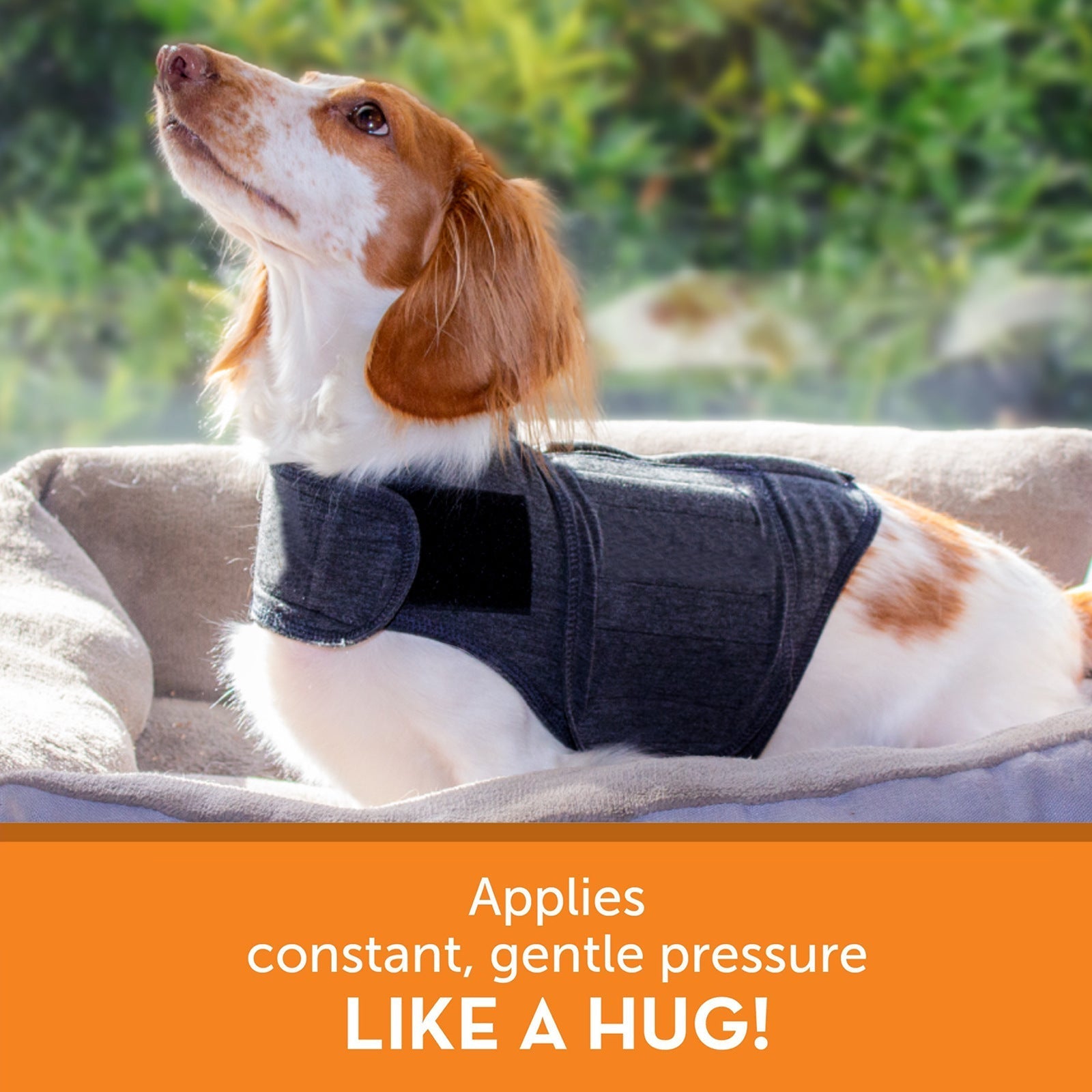 HKM-6712509 Warm British Style Dog Vest – Cozy Polyester Pet Clothing in Multiple Sizes