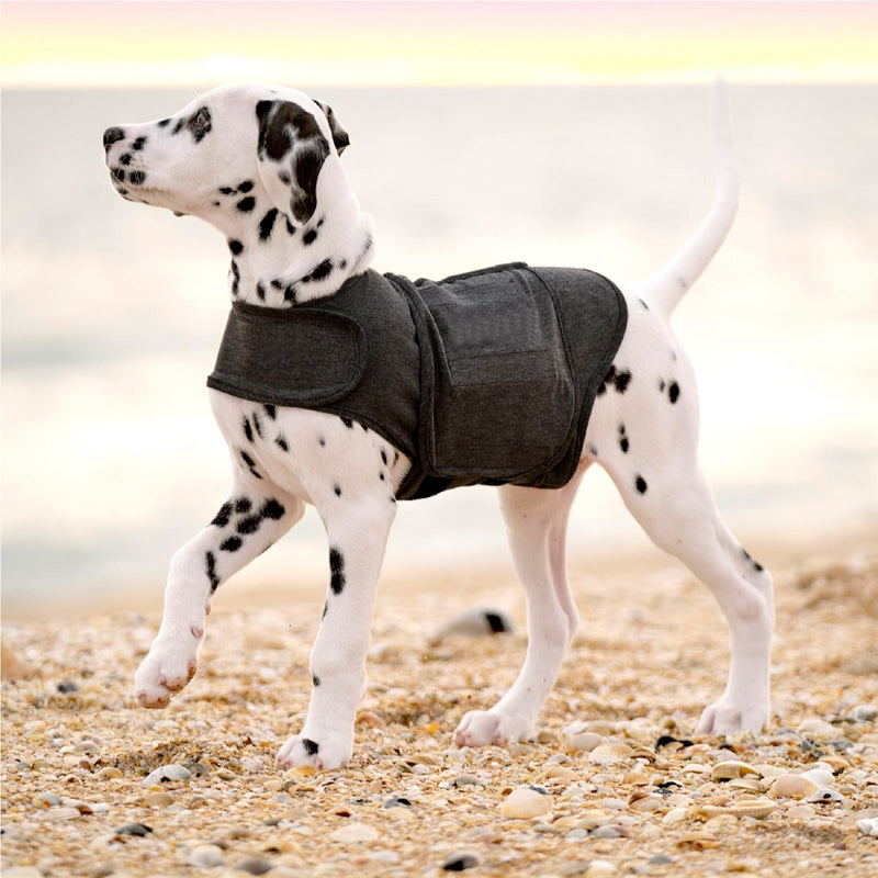 HKM-6712509 Warm British Style Dog Vest – Cozy Polyester Pet Clothing in Multiple Sizes