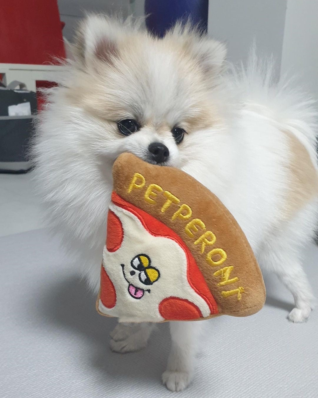 HKM-6717501 Pizza Toy for Dogs with BB Sounds and Crinkle Fun in Pizza Box Packaging